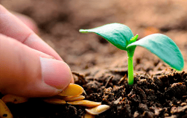 Agricultura